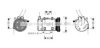 AVA QUALITY COOLING DNK191 Compressor, air conditioning